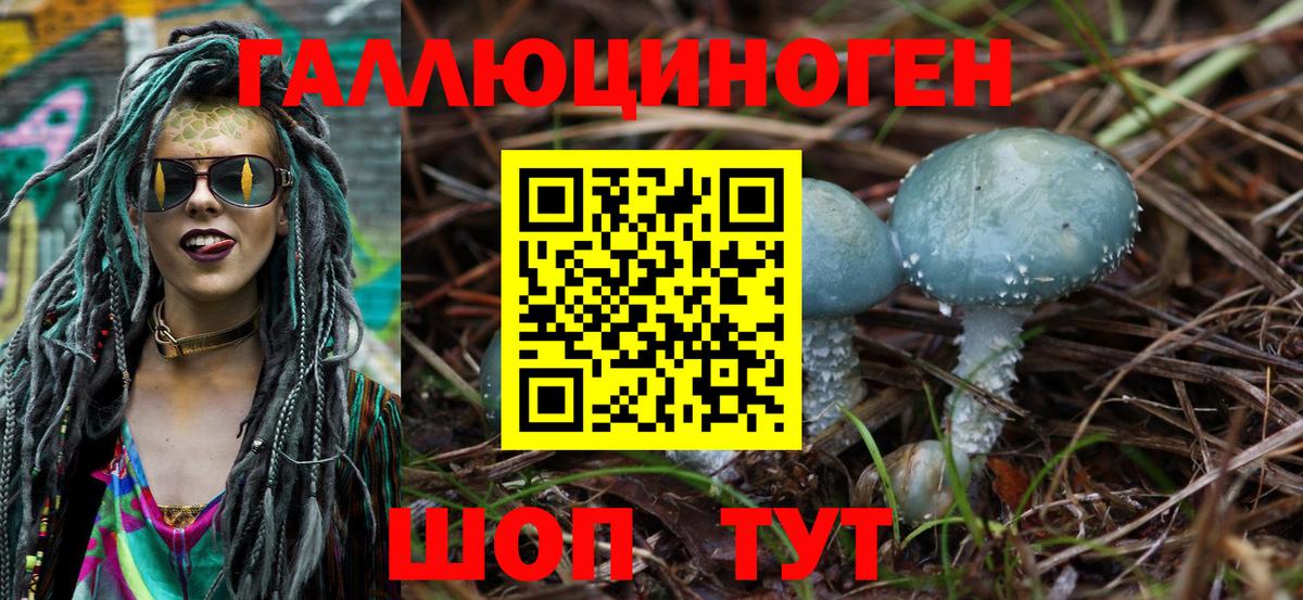 Галлюциногенные грибы Psilocybe Орёл