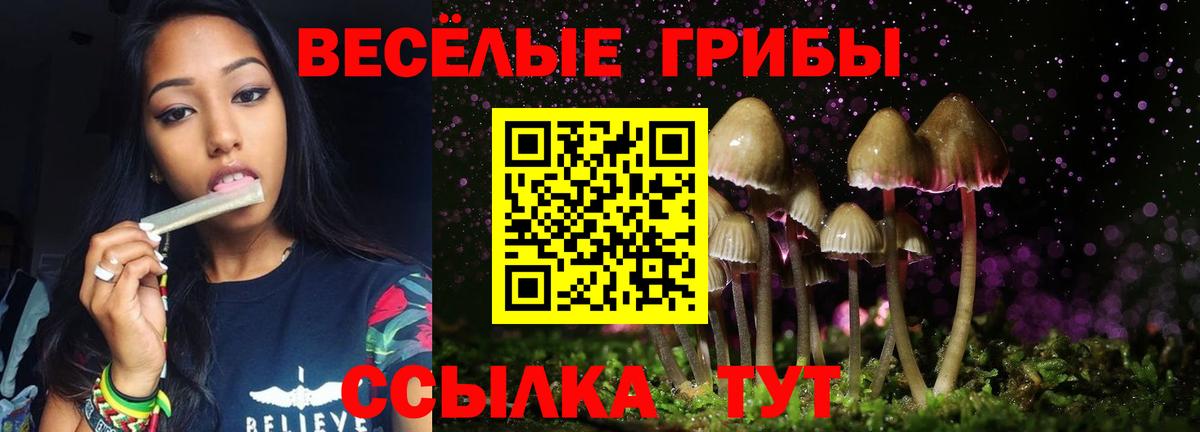 Псилоцибиновые грибы мицелий  Псилоцибиновые грибы Psilocybe  Вход с VPN  купить наркотики сайты  Орёл 